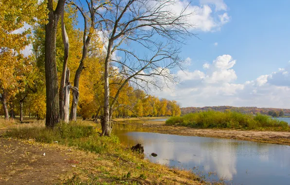 Осень, небо, облака, деревья, река, остров