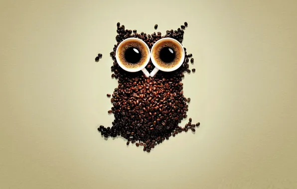 Coffee, owl, coffee beans, cups of coffee