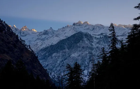 Картинка зима, небо, снег, деревья, горы, природа, скалы, Индия