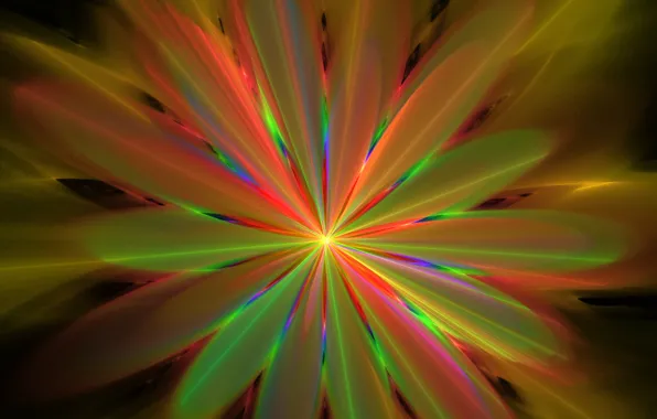 Картинка лучи, свет, линии, цветы, лепестки