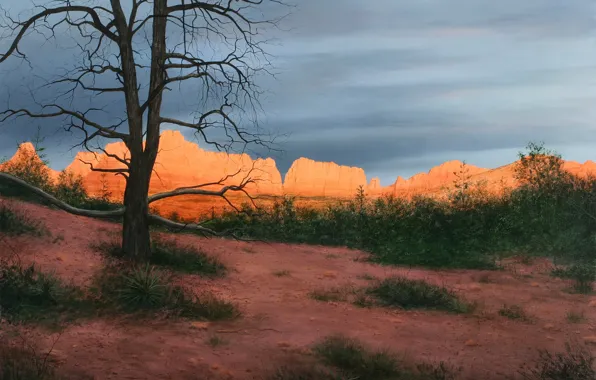 Пейзаж, природа, картина, Александр Волков, Закат в Седоне