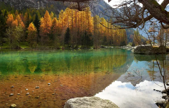 Картинка осень, деревья, горы, озеро, камни