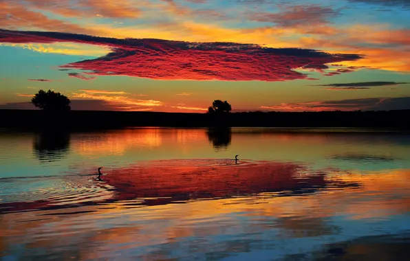 Картинка небо, облака, озеро, утки, Утро, Колорадо, США