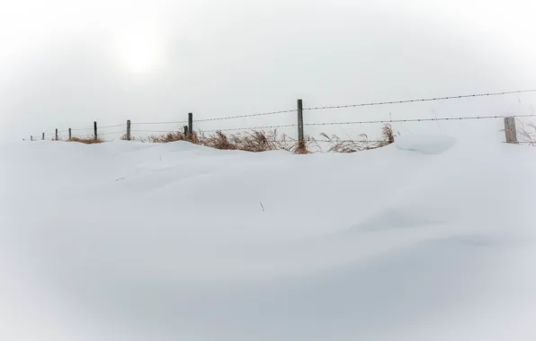 Картинка зима, снег, природа, забор, минимализм