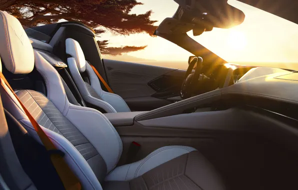 Chevrolet, Кабриолет, Chevrolet Corvette, Convertible, 2025, 2026, ZR1X, Quail Silver Limited Edition