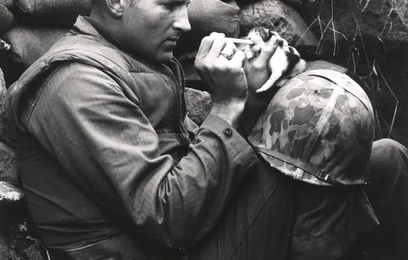 Котик, каска, американский солдат, пипетка, 18 октября, Война в Корее, 1952 год, ретро фотография