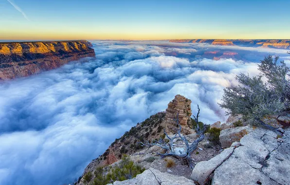 Картинка Arizona, Grand Canyon, Yaki Point