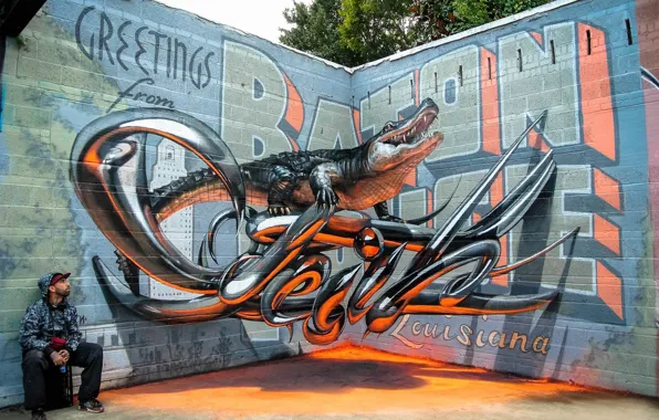 Картинка стены, граффити, аллигатор
