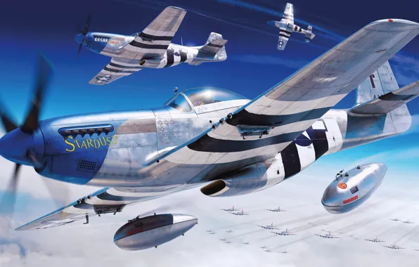 Истребитель, США, P-51D Mustang, US Airforce, Piotr Forkasiewicz