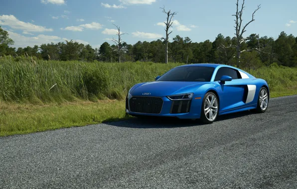 Audi, Blue, V10