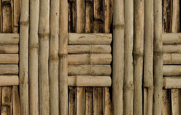 Стена, бамбук, плетение, фактура