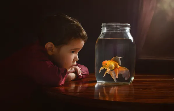 Картинка мальчик, золотая рыбка, банка