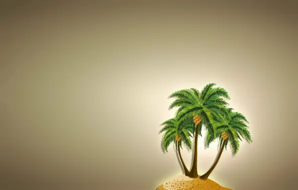 Пальма, дерево, остров, кокос, минимализм, светлый фон