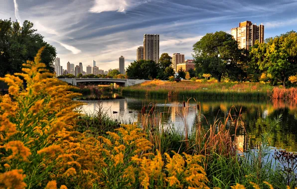 Осень, город, озеро, парк, Chicago, Lincoln Park