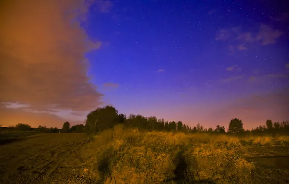 Картинка поле, небо, звезды, облака, свет, деревья, ночь