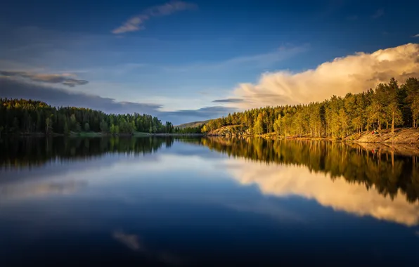 Лес, озеро, отражение, Норвегия, Norway, Берум, Bærum