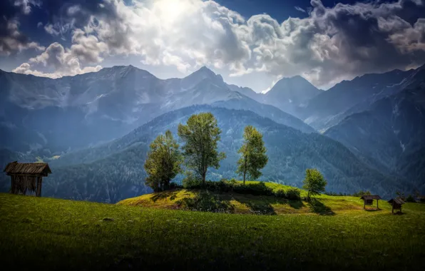 Зелень, трава, облака, деревья, горы, поляна, Австрия, hdr