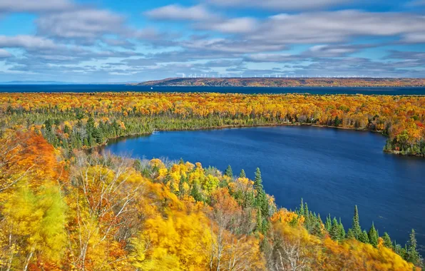 Осень, лес, деревья, озеро, Мичиган, США