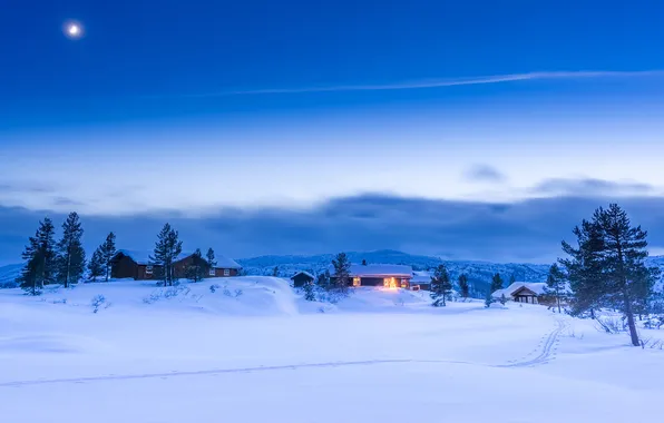 Moon, christmas, night, winter, snow