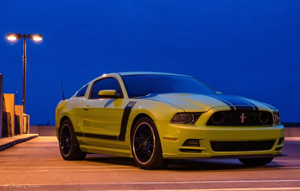 Картинка mustang, ford, 302, boss, 2013