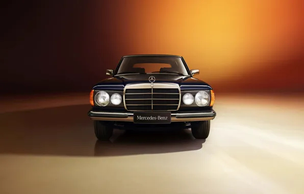 Mercedes-Benz, Mercedes, E-Class, E-Klasse, Mercedes-Benz 250 Limousine, V123