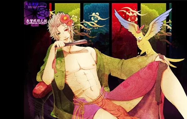 Птица, парень, Sengoku Basara, Эпоха Смут