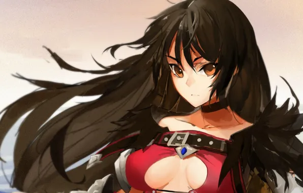 Девушка, Брюнетка, Art, Tales Of Berseria, Velvet Crowe, Открытое Декольте