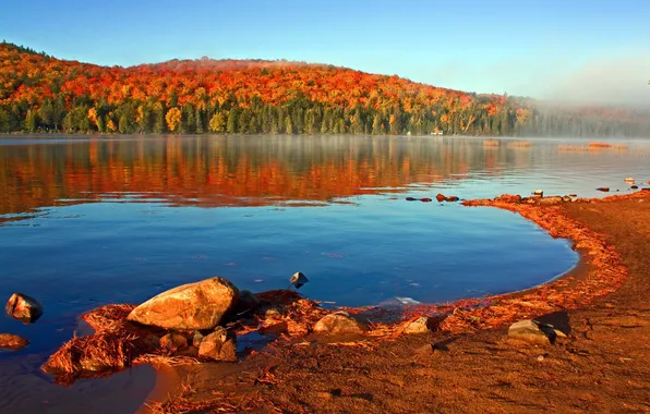 Картинка осень, лес, небо, озеро, берег