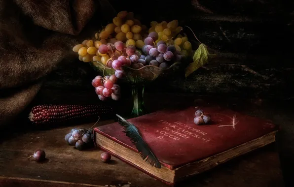 Темный фон, стол, перо, кукуруза, виноград, книга, ваза, СССР