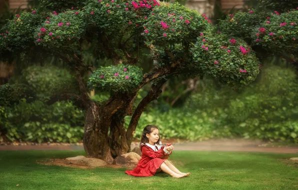 Картинка трава, природа, дерево, девочка, цветение, лужайка, ребёнок, Анастасия Бармина