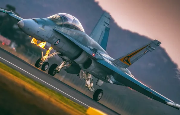 Картинка Истребитель, Фонарь, F/A-18, Взлет, ВПП, ВВС Австралии, Шасси, F/A-18 Hornet