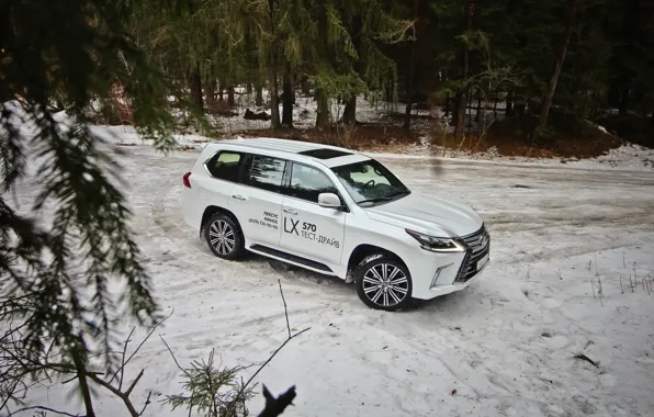 Lexus, Japan, winter, SUV, Lexus LX570