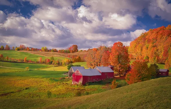Картинка осень, лес, облака, деревья, пейзаж, природа, дом, синева