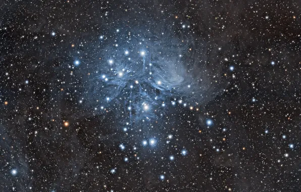 Картинка космос, Плеяды, M45, звёздное скопление, в созвездии Тельца