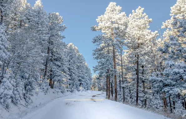 Зима, дорога, лес, небо, снег, фото