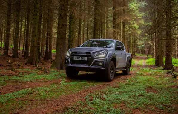 Лес, деревья, пикап, Isuzu, D-Max, 2019, UK version, XTR