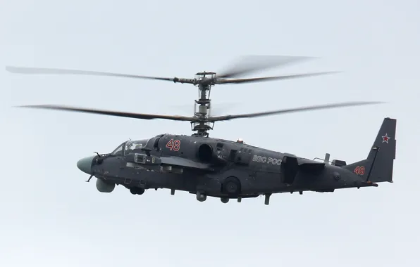 Картинка вертолёт, российский, Ка-52, всепогодный, ударный, двухместный, &ampquot;Аллигатор&ampquot;, &ampquot;Hokum B&ampquot;
