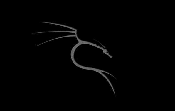 Linux, kali, backgound