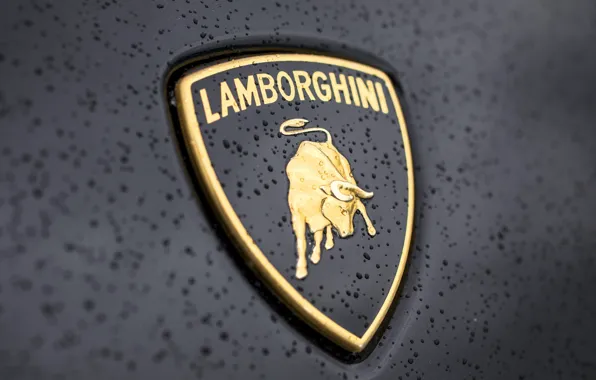 Капли, Lamborghini, лого, Ламборгини, бык