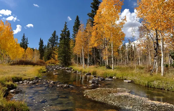 Картинка осень, деревья, пейзаж, река