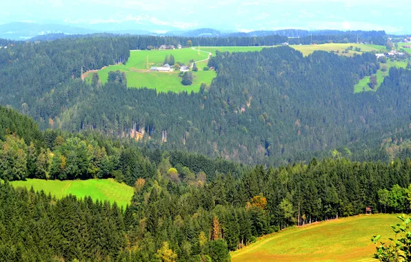 Картинка зелень, лето, деревья, горы, Австрия, домики, солнечно, леса