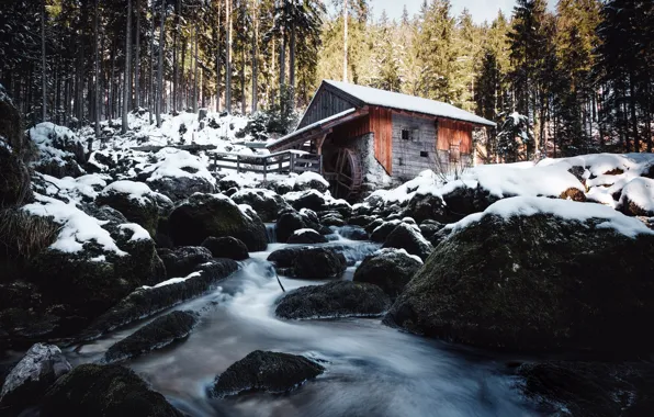 Картинка зима, лес, река, мельница