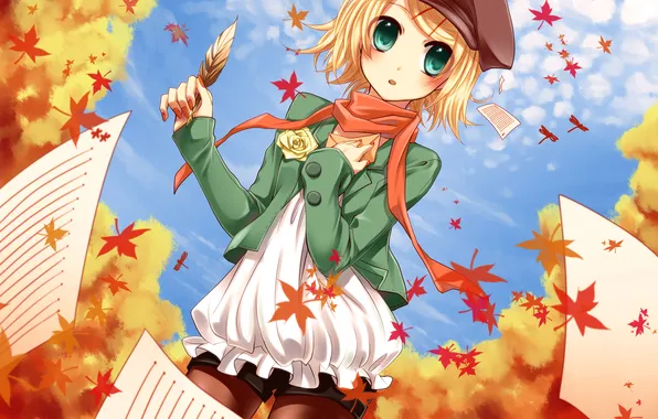 Картинка осень, листья, бумага, перо, шорты, роза, шарф, арт