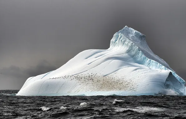 Лед, море, айсберг, глыба
