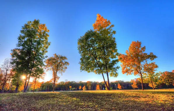 Картинка осень, небо, трава, лучи, деревья, закат