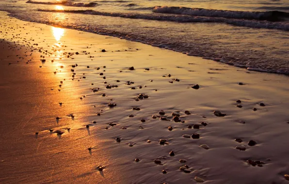 Картинка песок, море, пляж, солнце, закат, отражение, волна, Англия
