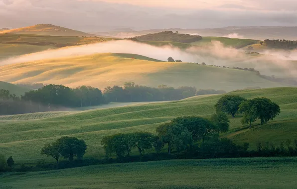 Картинка туман, холмы, поля, утро, Италия, Тоскана