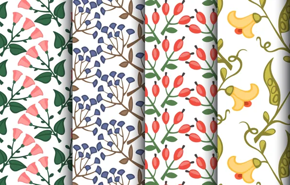 Белый, фон, текстура, цветочки, patterns, Set, floral