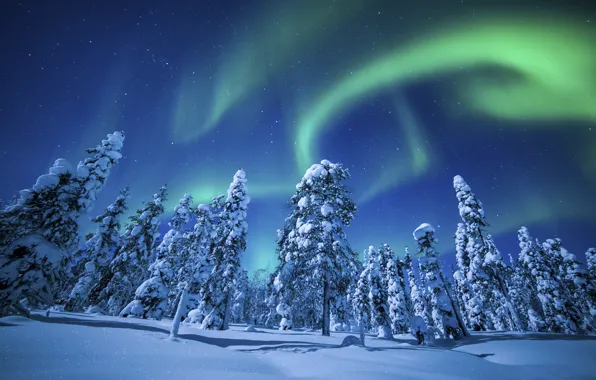 Картинка зима, лес, небо, природа, сияние, позитив, красиво