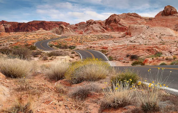 Картинка дорога, пейзаж, скалы, Аризона